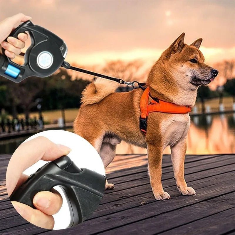 AMÉLIE LUMIÈRE – LED dog leash with integrated flashlight