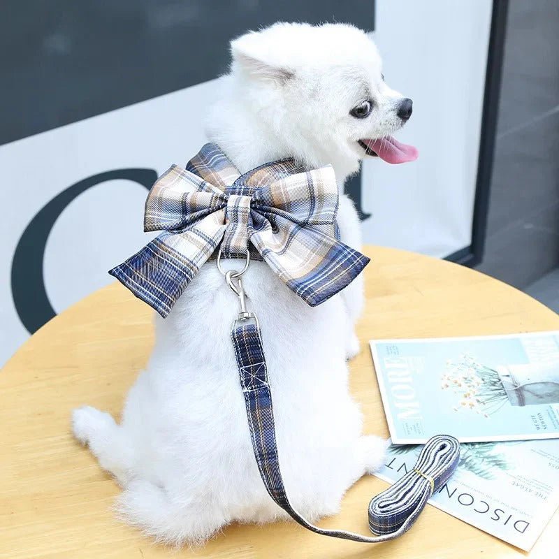 AURÉLIEN HARNAIS – Adjustable dog harness with stylish bow design