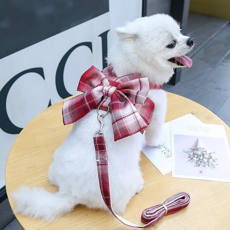 AURÉLIEN HARNAIS – Adjustable dog harness with stylish bow design