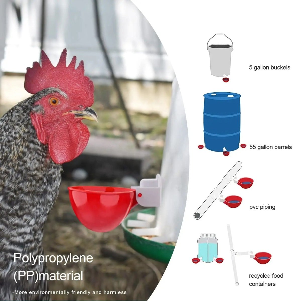 Aquaquill – Automatic Chicken Waterer for Fresh Water and Effortless Hydration