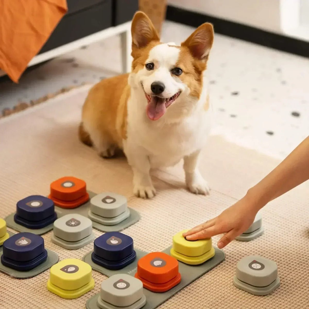 BARKTALK – Interactive voice buttons for dog training & communication