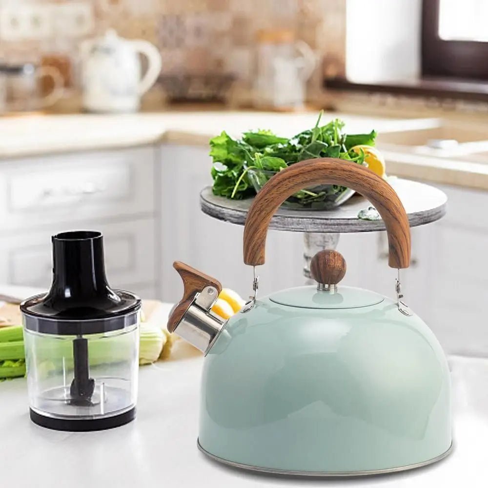 BOILVIA – 3L Whistling Stainless Kettle with Comfort Grip Handle 2
