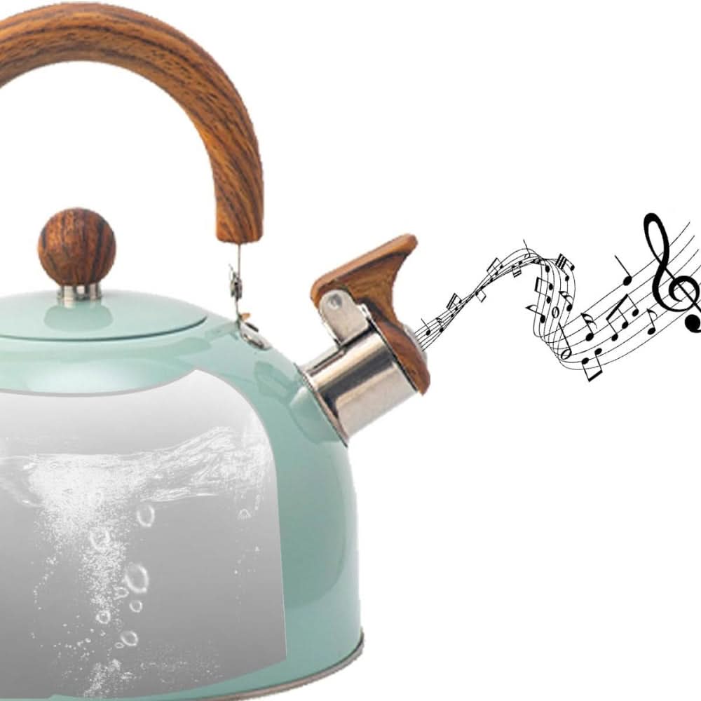 BOILVIA – 3L Whistling Stainless Kettle with Comfort Grip Handle 4