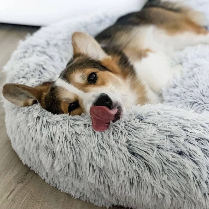 COZYPET – Calming Dog Bed with Plush Faux Fur & Removable Cover 3