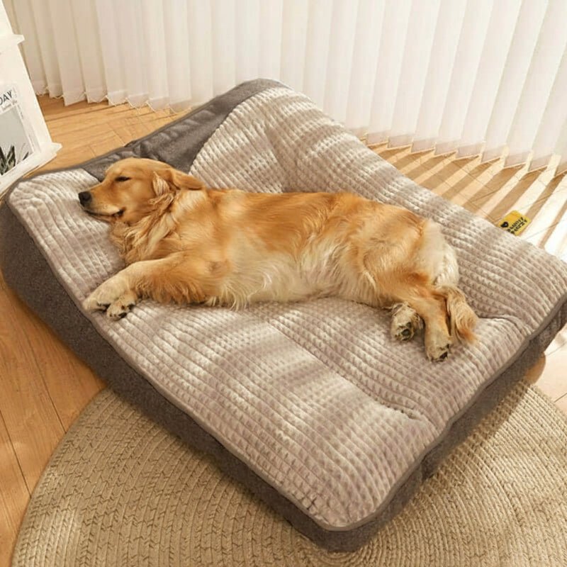 ComfortNest Large Scratch-Resistant Dog Bed with Orthopedic Spine Support 2