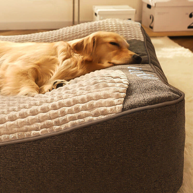 ComfortNest Large Scratch-Resistant Dog Bed with Orthopedic Spine Support 3