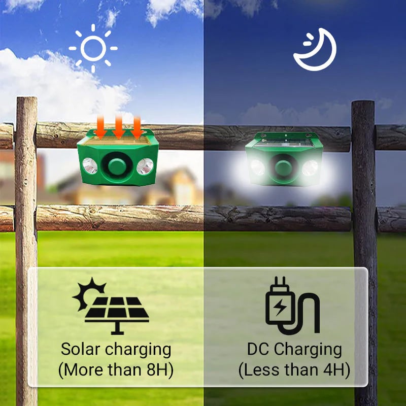 DUALGUARD – High Volume Solar Warning Lights to Deter Predators (Buy 1 Get 1 Free) 2