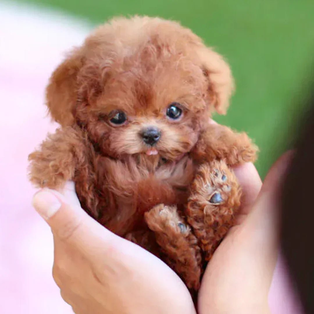 FurMotion Friend – Lifelike Plush Dog for Kids & Collectors 0