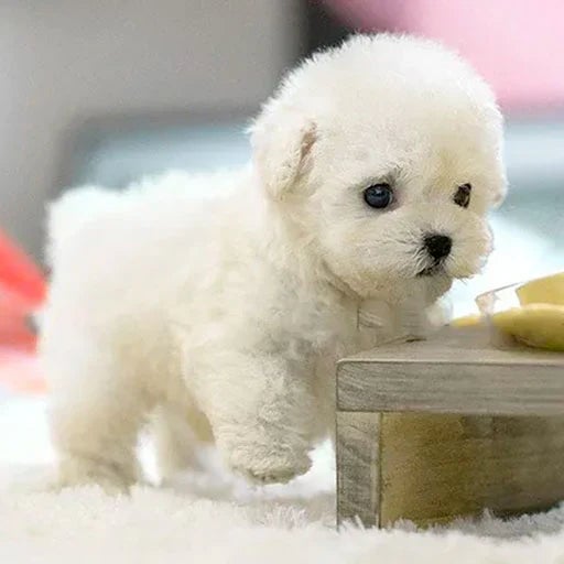 FurMotion Friend – Lifelike Plush Dog for Kids & Collectors 4