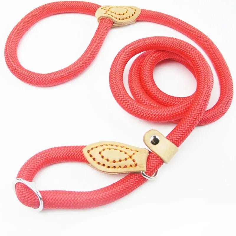 GUILLAUME LAISSE – Long leash for dogs made of climbing rope