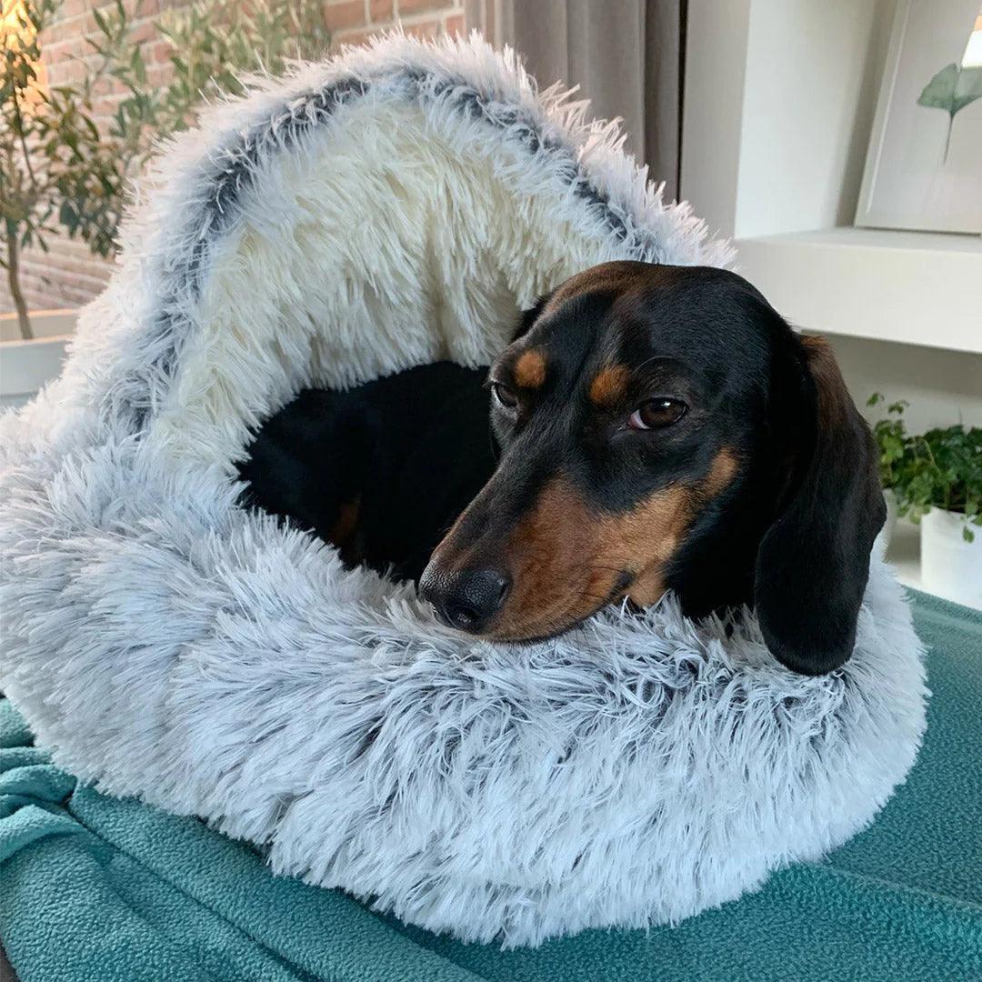 LUXURY COUPLE PET BED – Plush pet bed for cats and small dogs