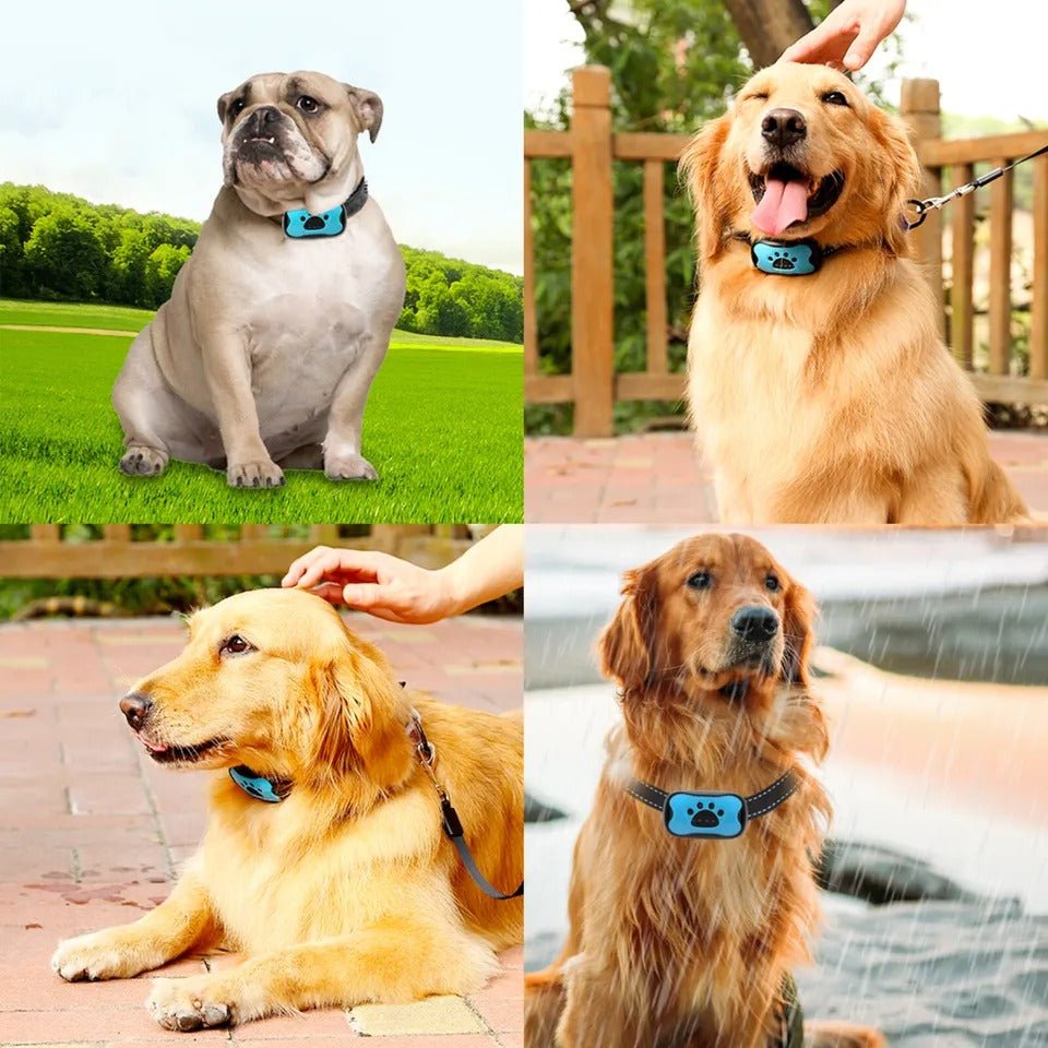 Nvroome Anti-Bark Dog Collar with Sound Wave Technology, Adjustable Fit 4