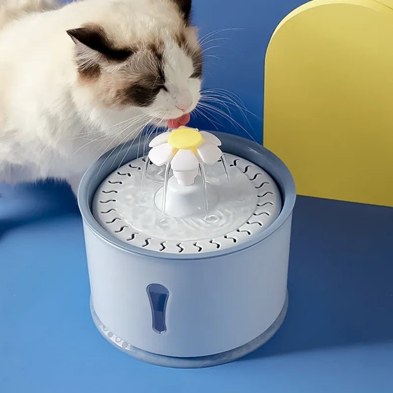PAWOASIS – Automatic Pet Drinking Fountain with Filter System