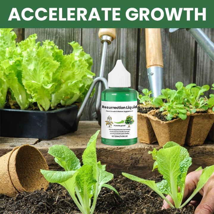 PLANTVITAL – Growth & Recovery Liquid for Stronger, Healthier Plants 1