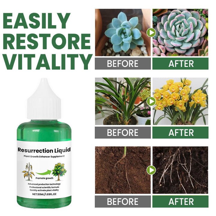 PLANTVITAL – Growth & Recovery Liquid for Stronger, Healthier Plants 3