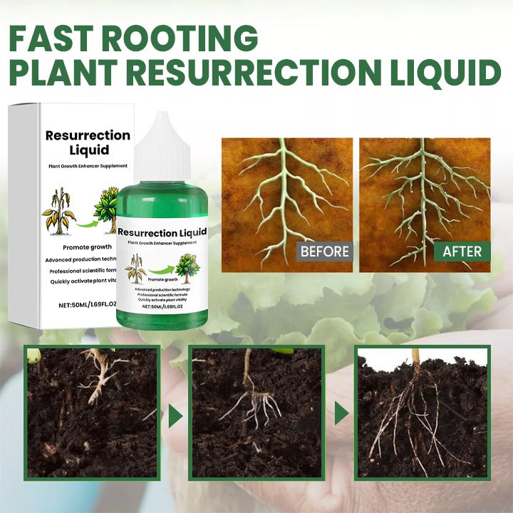 PLANTVITAL – Growth & Recovery Liquid for Stronger, Healthier Plants 4