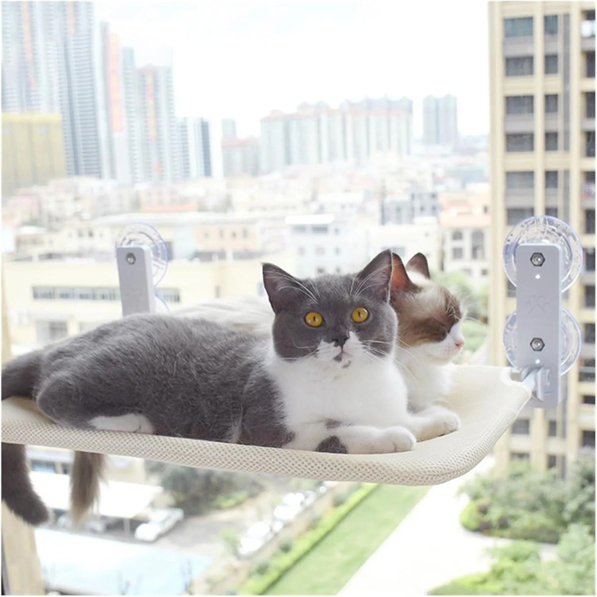 Pawperch – Foldable cat hammock with wall-friendly mount | Drill-free window perch for cats