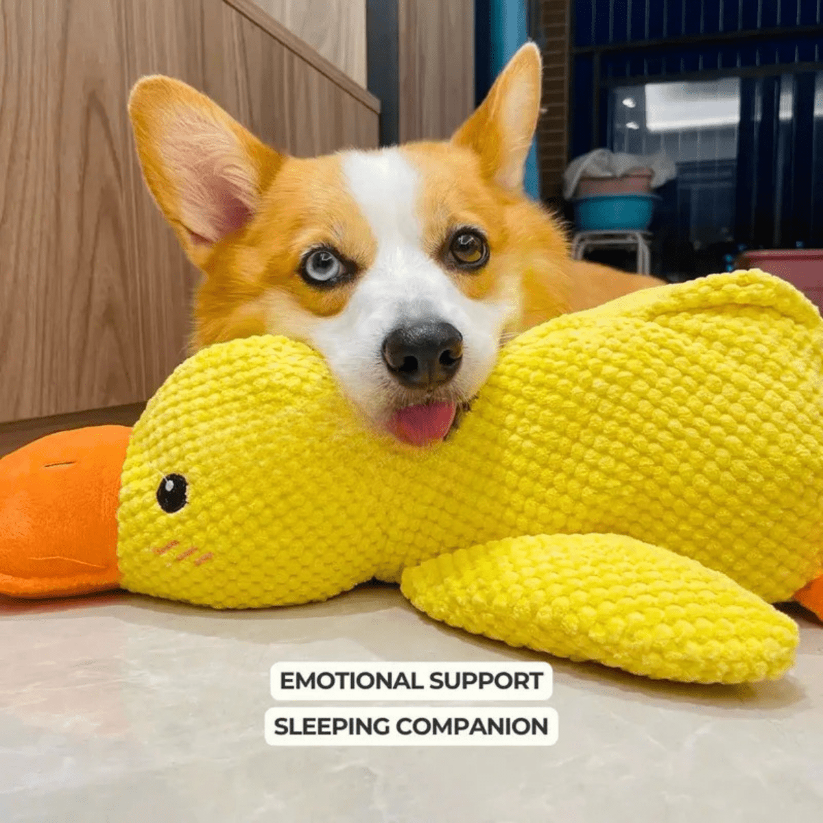 Quackly – Soothing Plush Toy for Dogs with Squeaker, Machine Washable