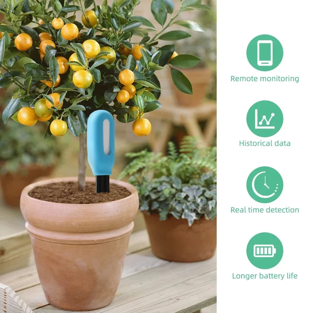 GROWTUNE – Bluetooth Soil Tester with Moisture & Temperature Monitoring