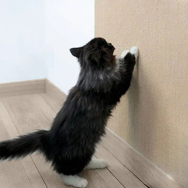SCRATCHHAVEN – Stylish scratching mat for cats to protect furniture & care for claws