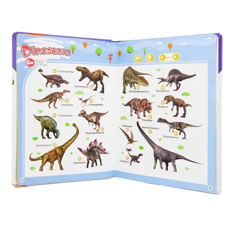SOUNDJOY – My First English Sound Toy for Toddlers (Pack of 2) 4