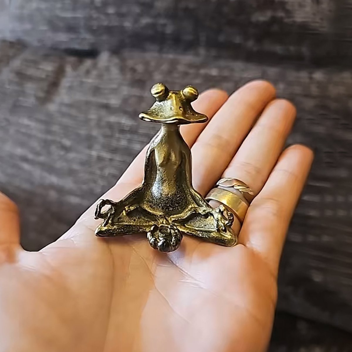 Zenora Brass Meditating Frog Incense Holder | Handcrafted solid brass décor piece for mindful living and relaxation 4