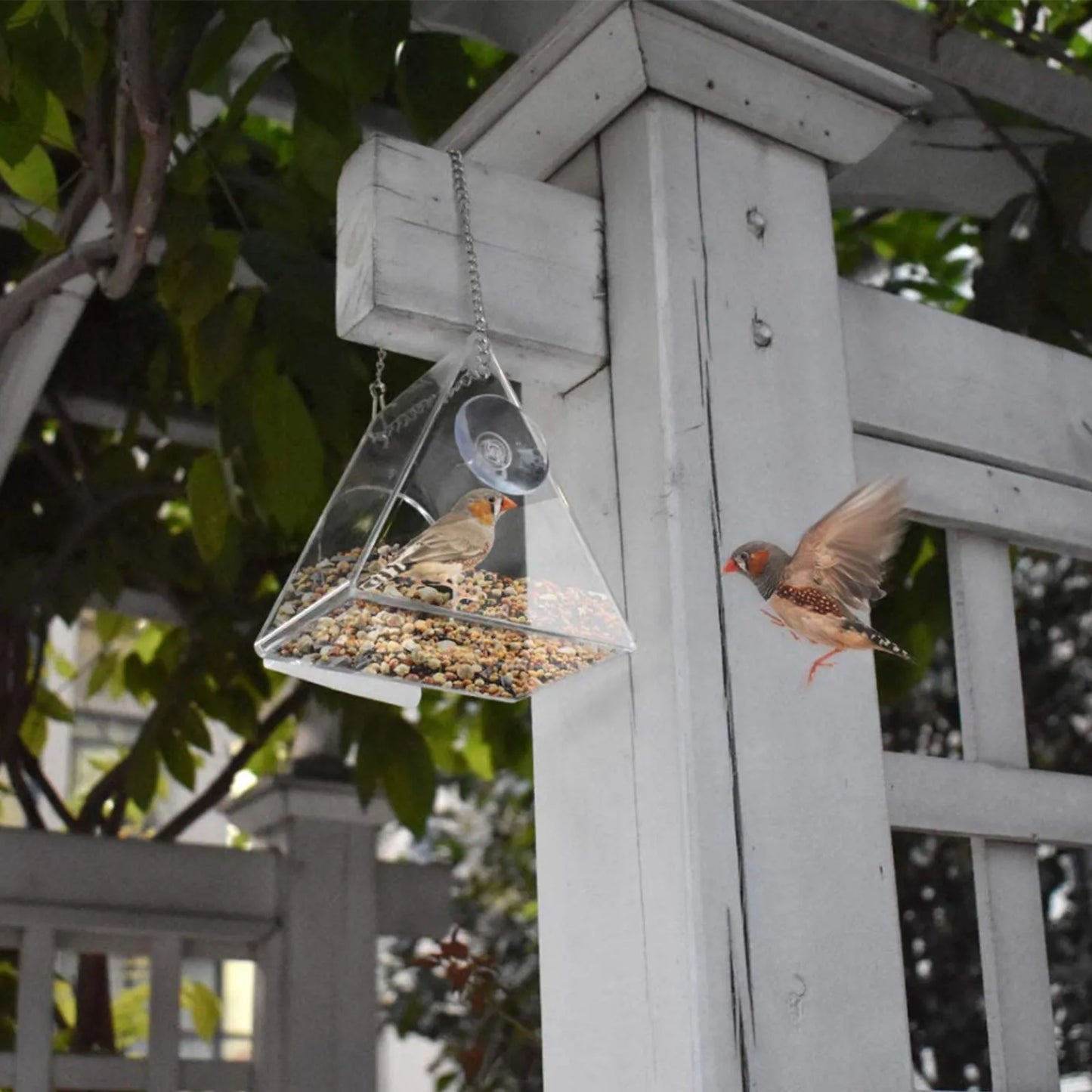 Acrylic Outdoor Bird Feeder - Windbreak Ball Design for Multiple Birds 5