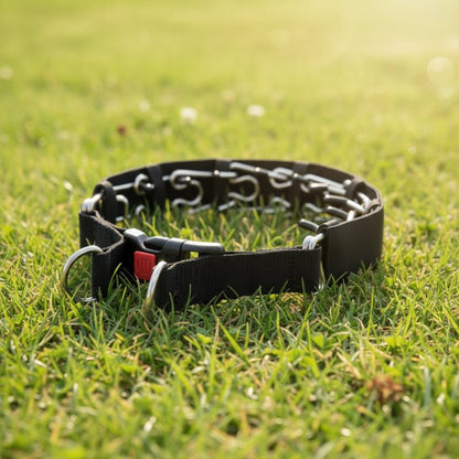 Adjustable Dog Prong Collar with Stainless Steel Links for Gentle Training 0