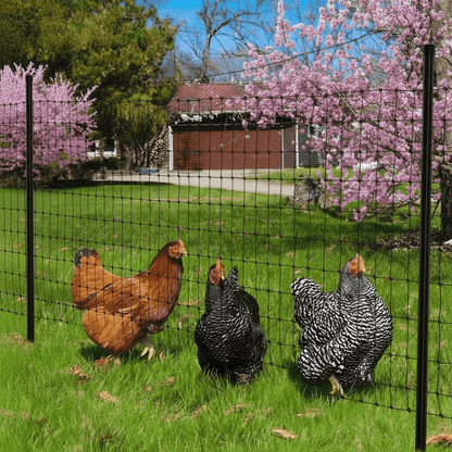 AgriNet Pro - UV-Resistant Plant Netting for Garden Protection Against Pests 2