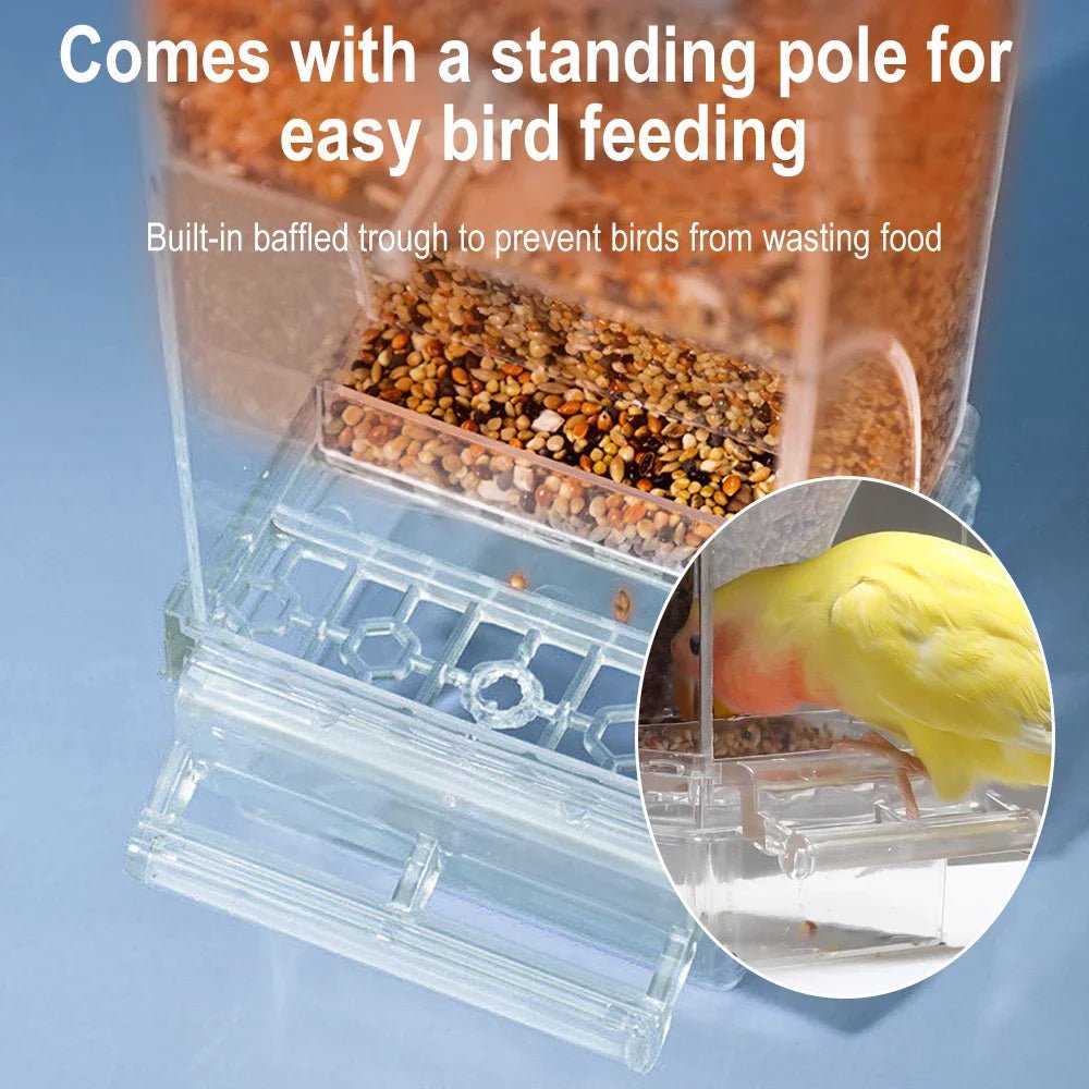 Automatic Bird Feeder - Spill-Proof & Splash-Proof Design for Outdoor Use 4