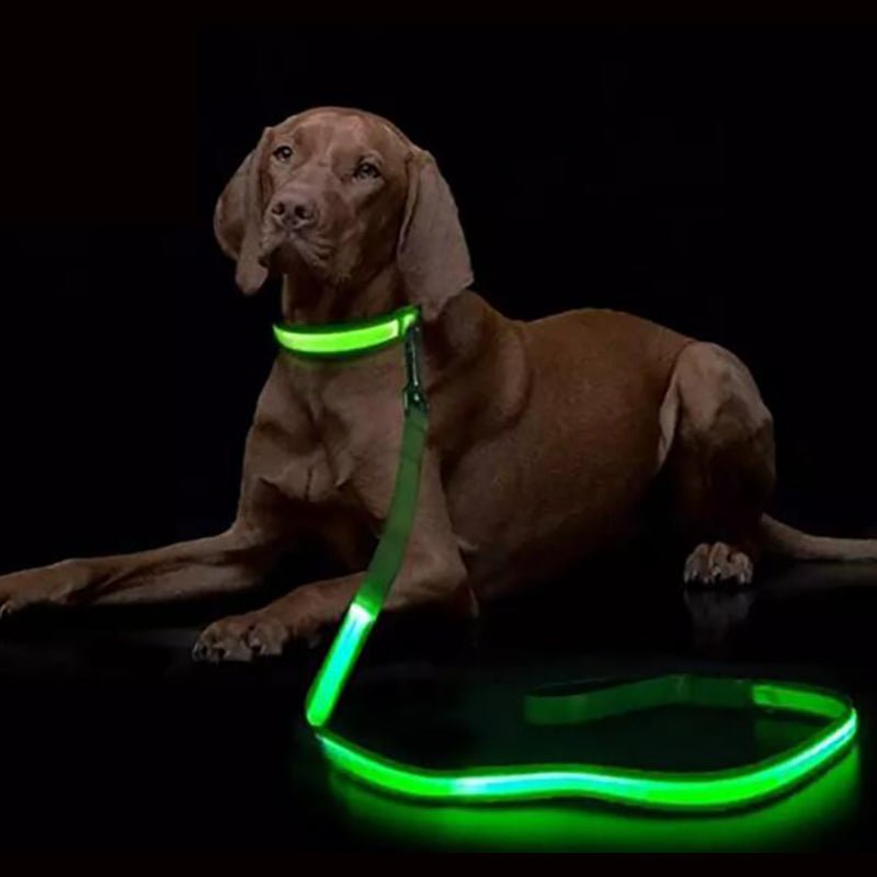 BrightWalk LED Dog Leash - USB Rechargeable, Ergonomic Handle, High Visibility 0