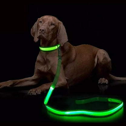 BrightWalk LED Dog Leash - USB Rechargeable, Ergonomic Handle, High Visibility 0