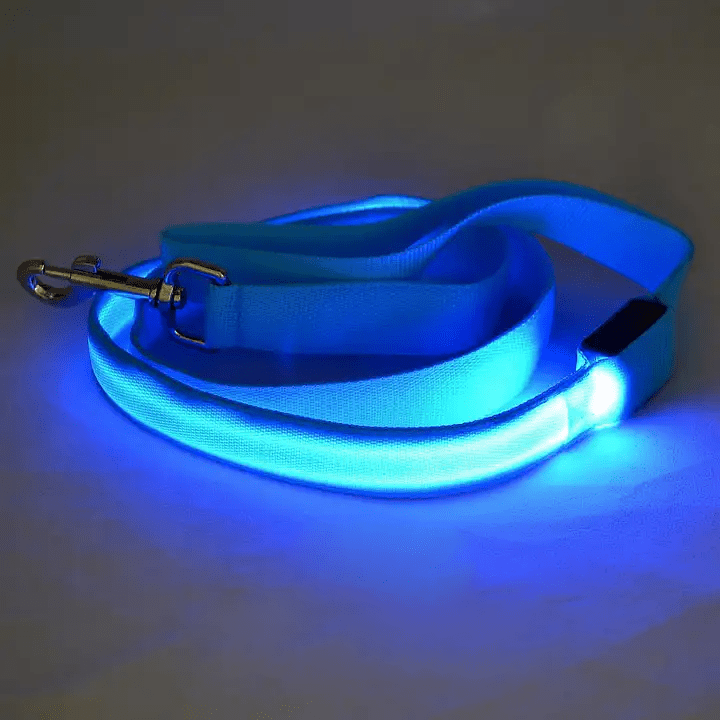 BrightWalk LED Dog Leash - USB Rechargeable, Ergonomic Handle, High Visibility 5