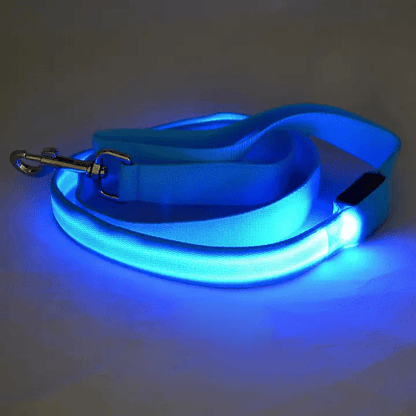 BrightWalk LED Dog Leash - USB Rechargeable, Ergonomic Handle, High Visibility 5