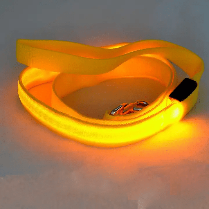 BrightWalk LED Dog Leash - USB Rechargeable, Ergonomic Handle, High Visibility 6