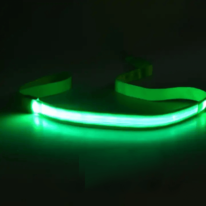 BrightWalk LED Dog Leash - USB Rechargeable, Ergonomic Handle, High Visibility 7