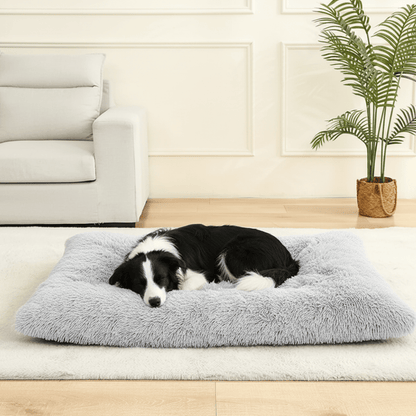 COZYPET – Plush Dog Bed & Cat Mat for Ultimate Comfort