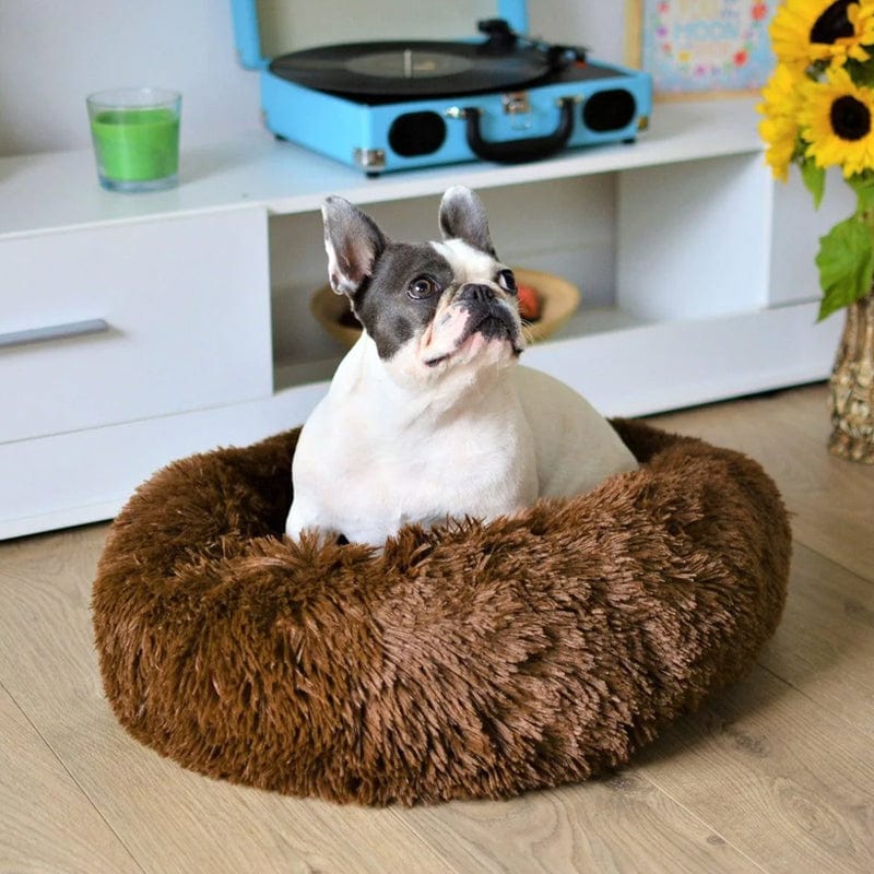 COZYPET – Calming Dog Bed with Plush Faux Fur & Removable Cover 1