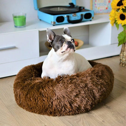 COZYPET – Calming Dog Bed with Plush Faux Fur & Removable Cover 1