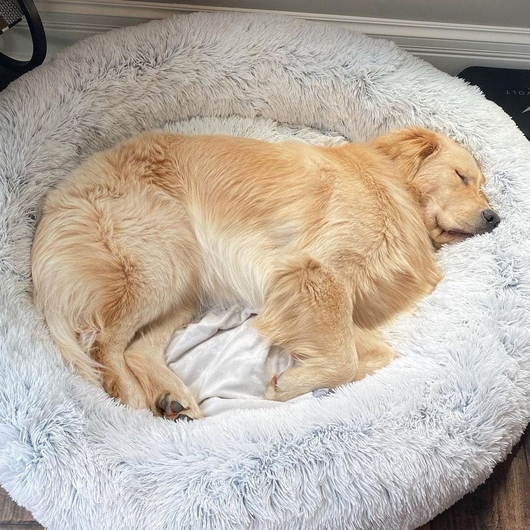 COZYPET – Calming Dog Bed with Plush Faux Fur & Removable Cover 4