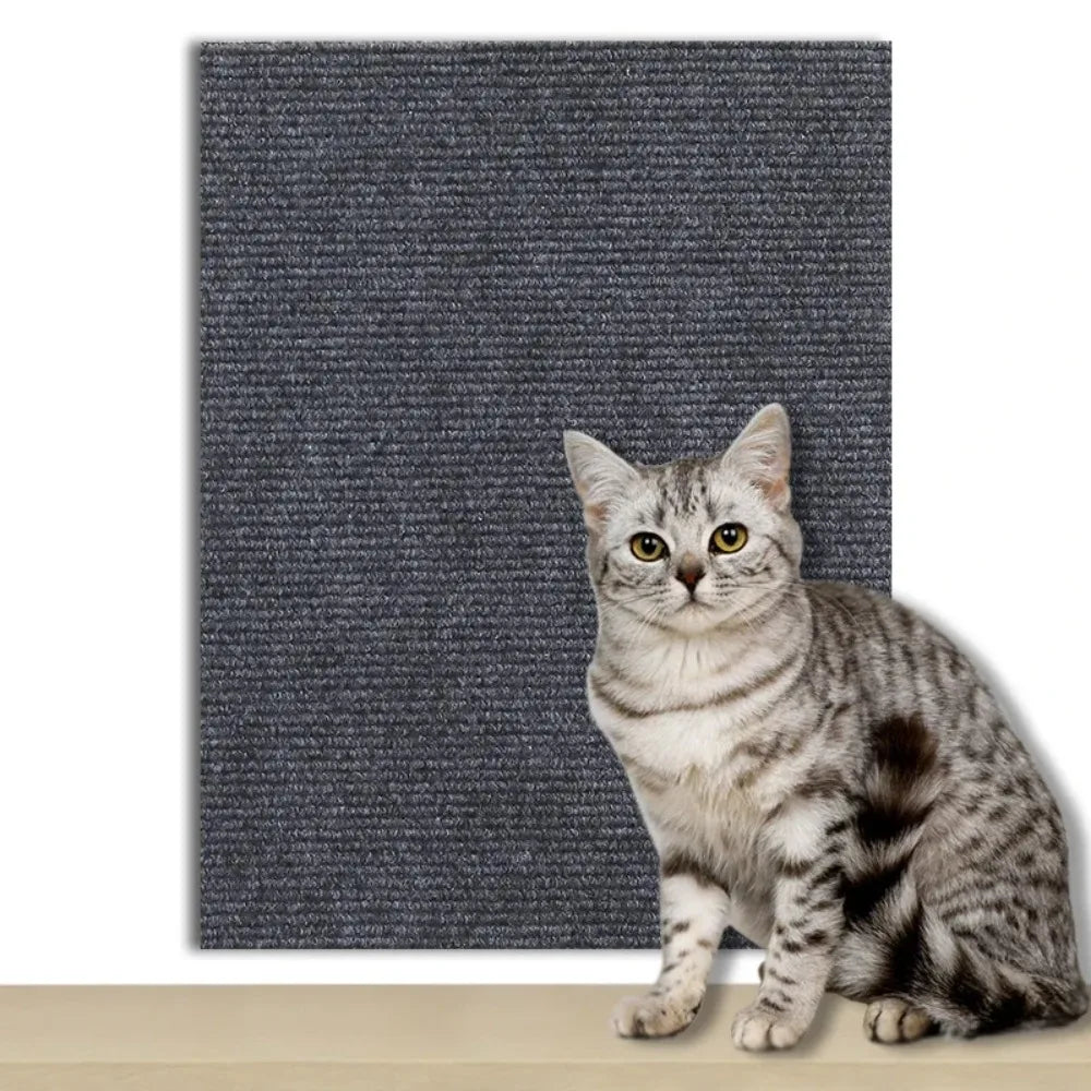 CatGuard - Self-Adhesive Scratch Protection Board for Furniture, Walls & Carpets 7