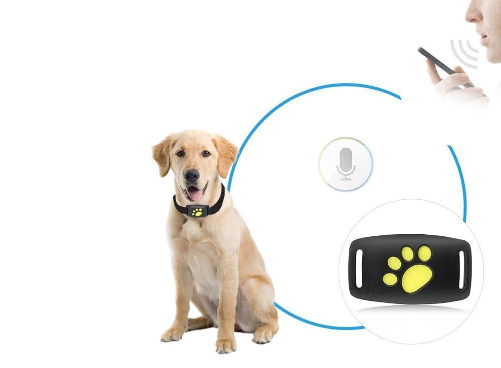 Cat GPS Tracker - real-time tracking without a subscription 3