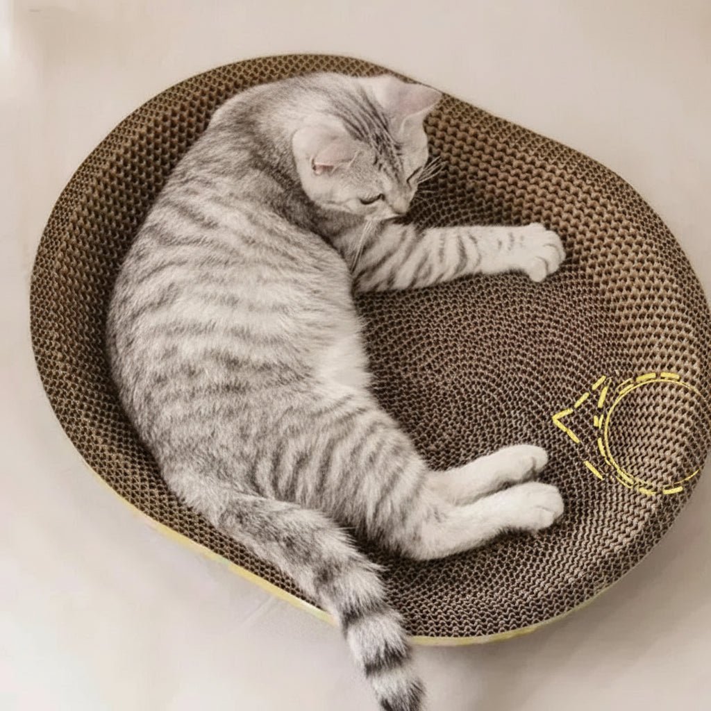 Cat Scratching Board - Multi-Purpose Oval Corrugated Paper Bed & Claw Toy 0