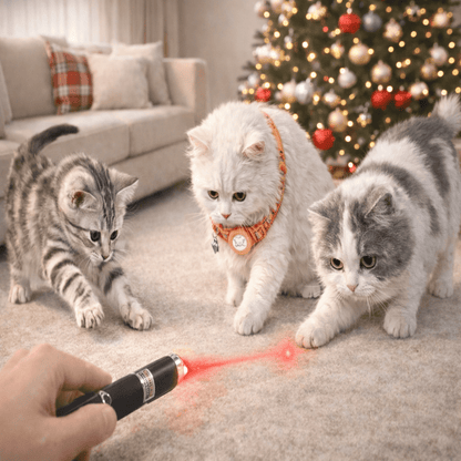 PLAYSPARK – Mini LED Laser Pointer & Flashlight 2-in-1 Pet Toy