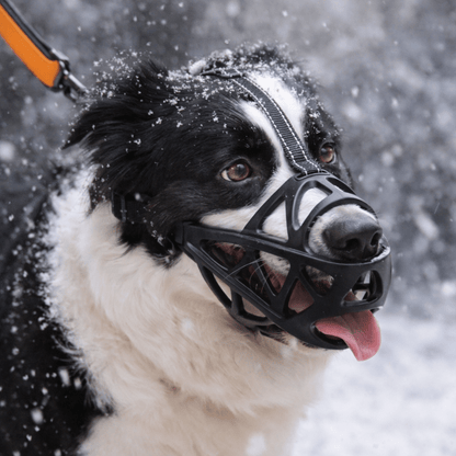 COMFYMUZ – Gentle Control with All-Day Comfort