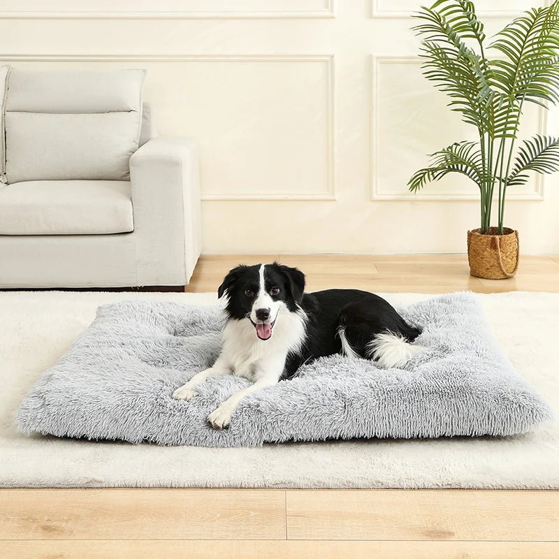 CozyNest Plush Dog Bed & Cat Mat - Soft, Durable, Easy to Clean 0