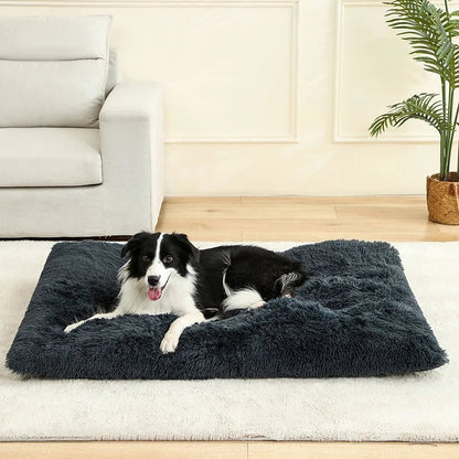 CozyNest Plush Dog Bed & Cat Mat - Soft, Durable, Easy to Clean 1