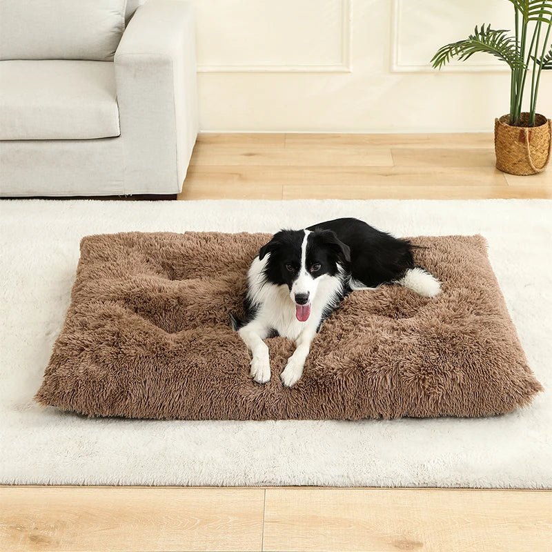 CozyNest Plush Dog Bed & Cat Mat - Soft, Durable, Easy to Clean 2