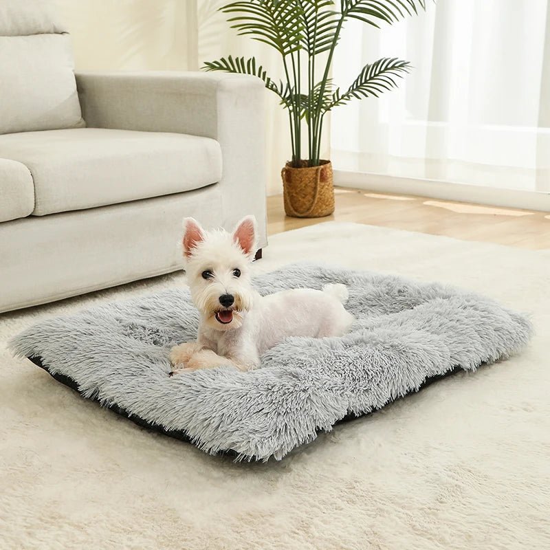 CozyNest Plush Dog Bed & Cat Mat - Soft, Durable, Easy to Clean 3