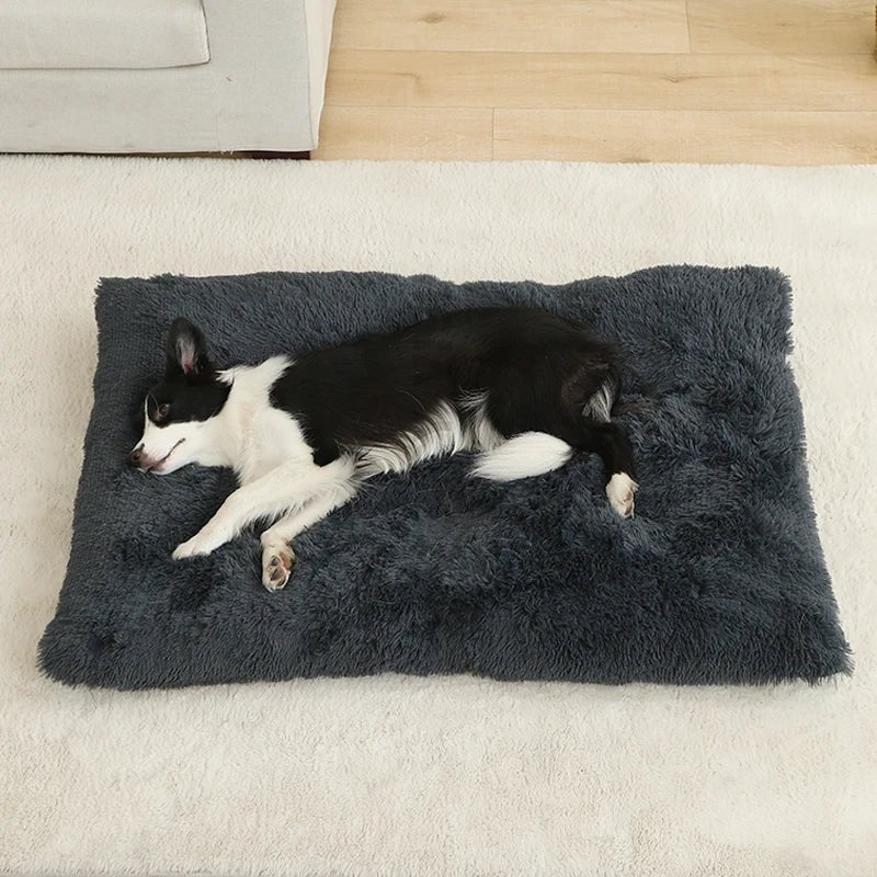 CozyNest Plush Dog Bed & Cat Mat - Soft, Durable, Easy to Clean 4
